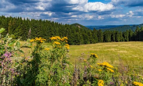 Thüringer Wald Thüringer Wald