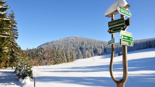Winter im Thüringer Wald