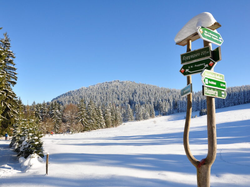 Winter im Thüringer Wald