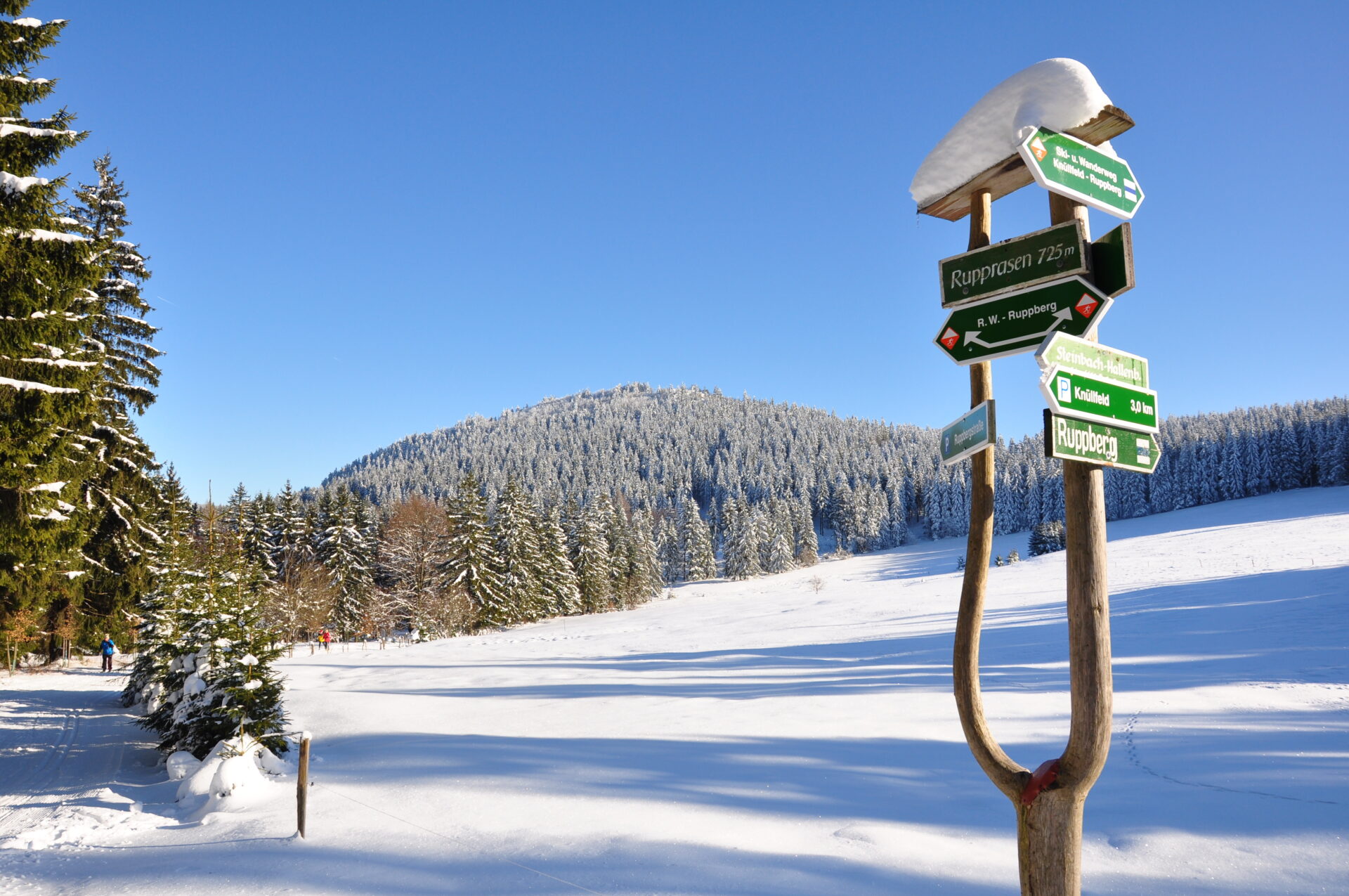 Winter im Thüringer Wald