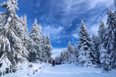 Skifahren