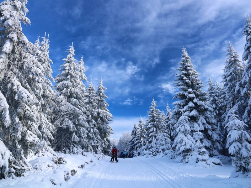 Skifahren