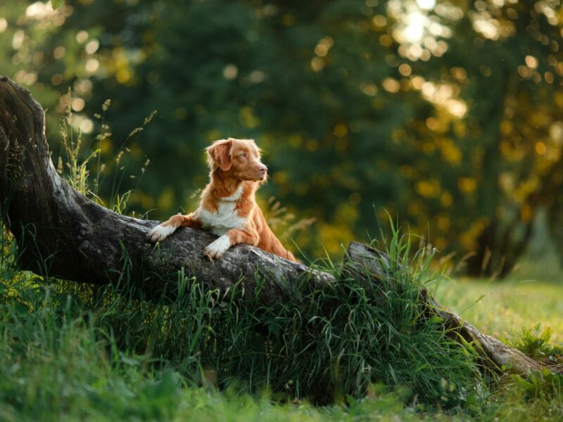 Adobestock 115828647 Adobestock 115828647