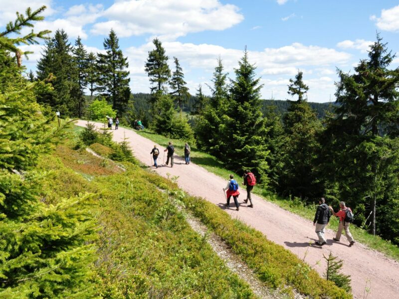 Adobestock 49119539 Adobestock 49119539