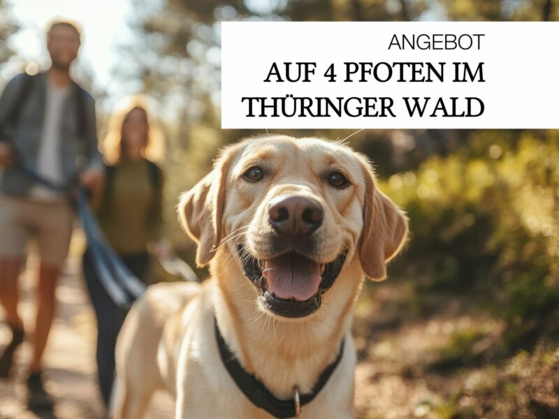 Auf 4 Pfoten Pkg Auf 4 Pfoten Pkg