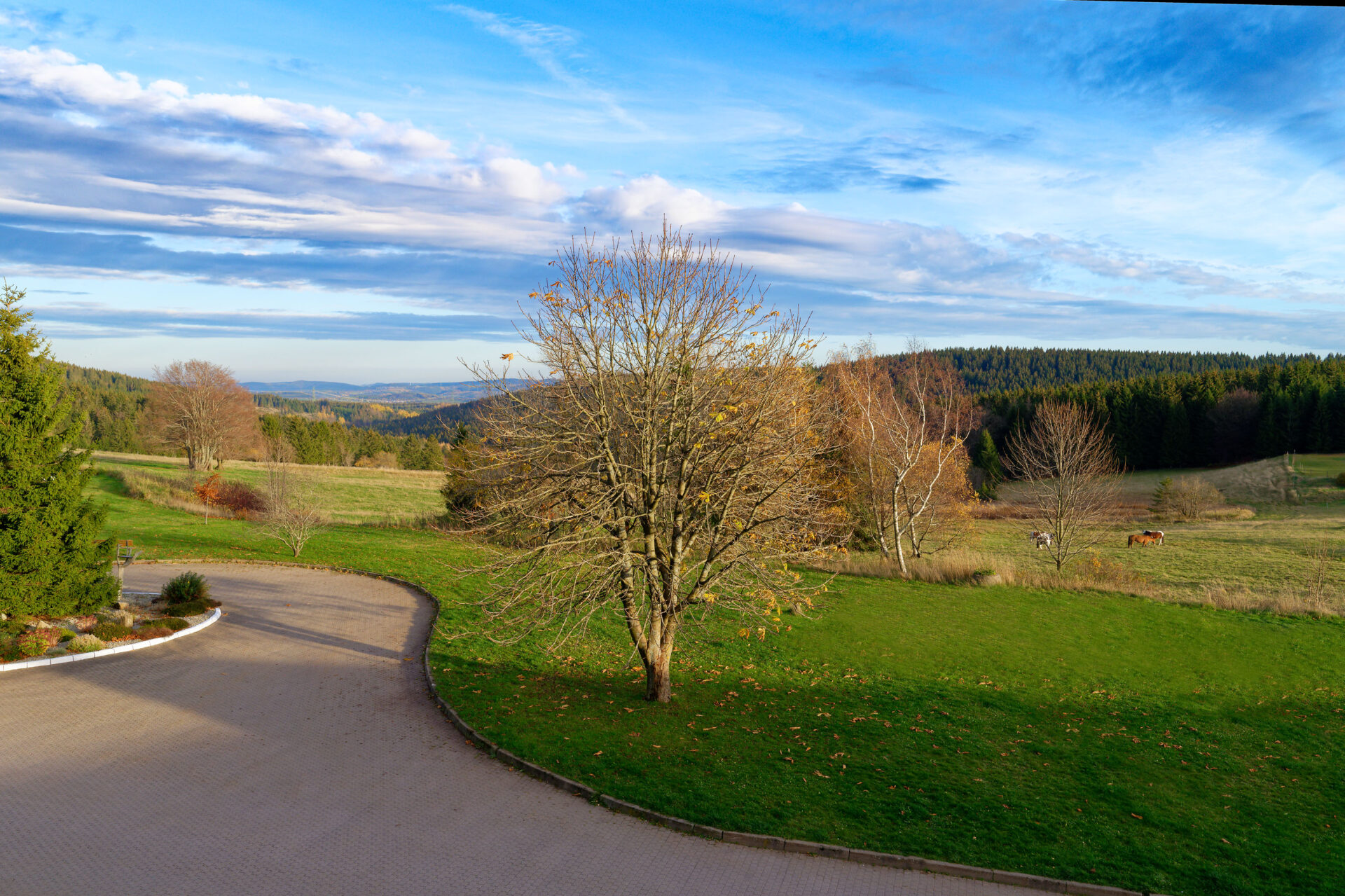 Ausblick Hotel (3)