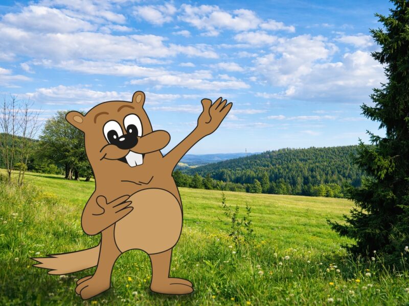 Woody Im Thüringer Wald Woody Im Thüringer Wald