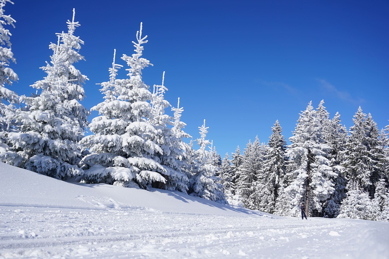 Skiing_Pixabay